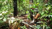 Urge un refuerzo en la protección de turberas en Perú