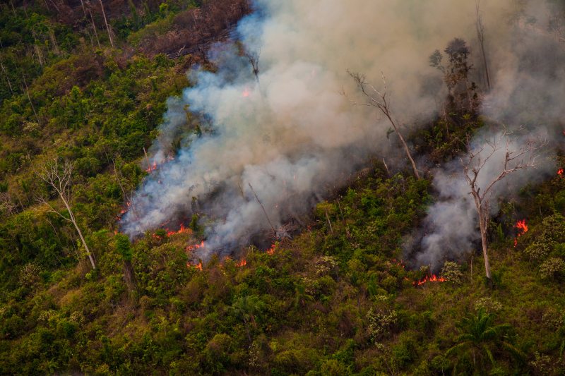 Amazonía registra el octubre con mayor deforestación en seis años