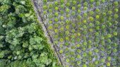 Industria alimentaria culpable de la rápida pérdida de hábitats