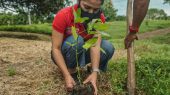 Colombia combate la defoersación con planes de reforestación