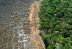 Amazonía perdió 8,500 km2 en 2020