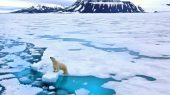 Disney hará película sobre el cambio climático en Svalbard