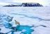 Disney hará película sobre el cambio climático en Svalbard