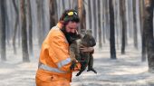 Un año después de los incendios forestales en Australia continúa la inacción climática