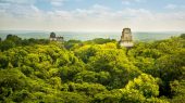 Iniciativa une a Mesoamérica para proteger sus bosques más grandes