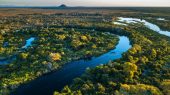 Coalición multimillonaria busca proteger los bosques tropicales del mundo