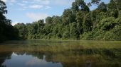 Perú: nuevo acuerdo de conservación en el parque nacional El Manu