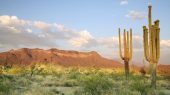 El lugar más caliente de la Tierra se encuentra en México con más de 80°C