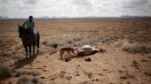 México sufre una de sus peores sequías