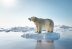 Cómo nos afecta el derretimiento de hielo en el Ártico