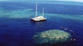 Unesco advierte a Australia sobre estar en peligro la Gran Barrera de Coral