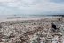 Guatemala: colapso de biobarda causa más contaminación en las playas