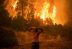 Incendios forestales y olas de calor impactan Grecia, Turquía e Italia
