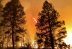 La temporada de incendios forestales puede extenderse hasta septiembre