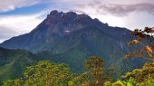 Los bosques de montaña han demostrado que capturan grandes cantidades de carbono.