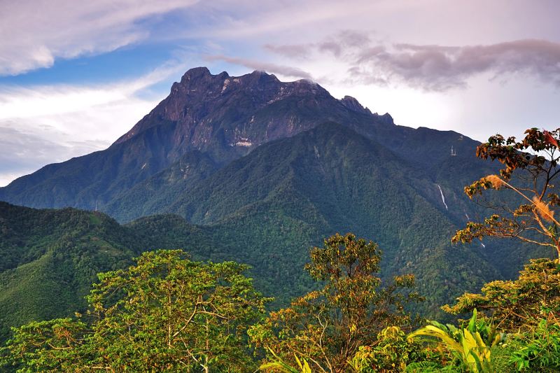 Los bosques de montaña han demostrado que capturan grandes cantidades de carbono.