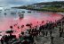 Más de 1,400 delfines masacrados en Islas Feroe por controversial tradición.