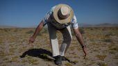 Desierto de Chile florece a pesar de la crisis de sequía.