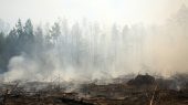 El planeta almacena más carbono del que creemos, y si se libera puede causar consecuencias catastróficas.