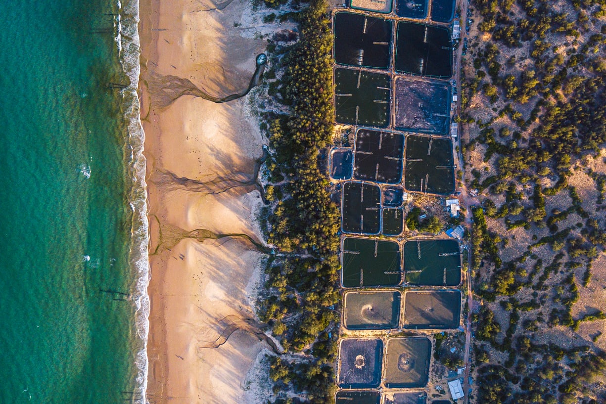 Contaminación de estanques cercanos a la playa de Vietnam. - Foto Nguyen Duy Sinh/CIWEM environmental photographer of the year award 2021