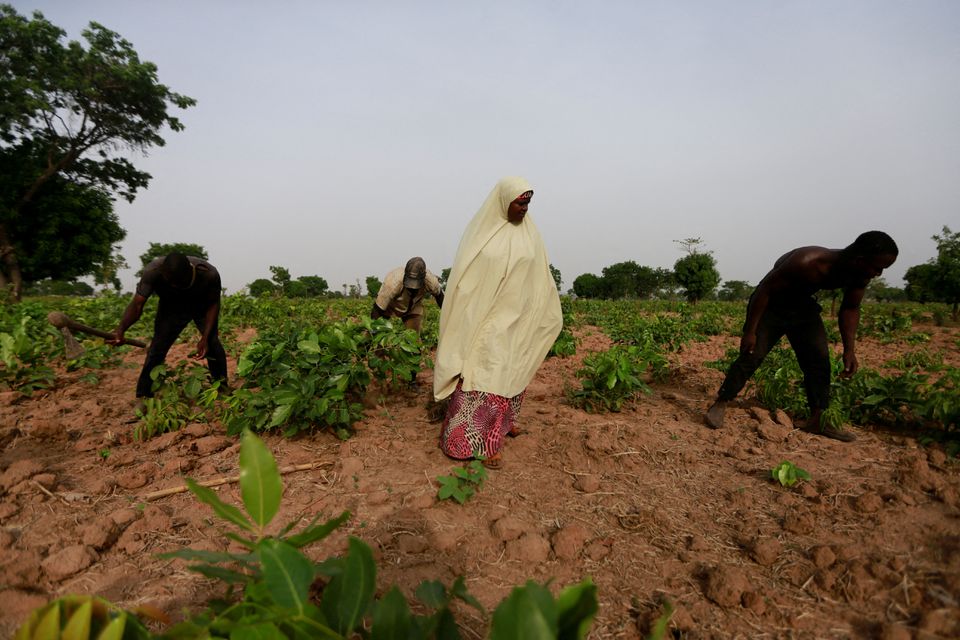 Métodos sostenibles para la agricultura y los sistemas alimentarios. - Foto Afolabi Sotunde/Reuters