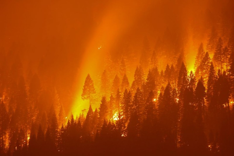 Incendios forestales en 2021 produjeron emisiones récord de carbono en 2021