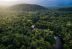 Los bosques tropicales se pueden regenerar naturalmente en 20 años