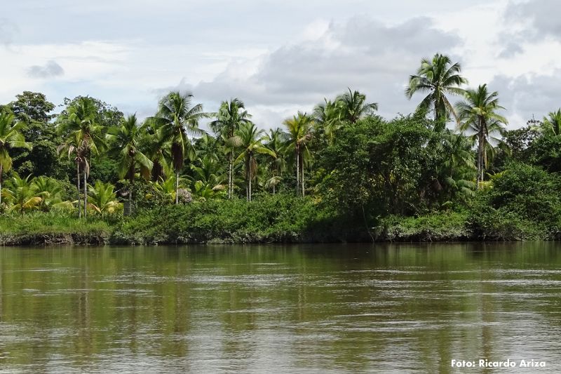 La Isla Ají cumplirá con el objetivo de conservación 30x30.