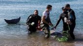 La ballena se rehúsa a volver al mar, por lo que científicos están evaluando la posible causa.