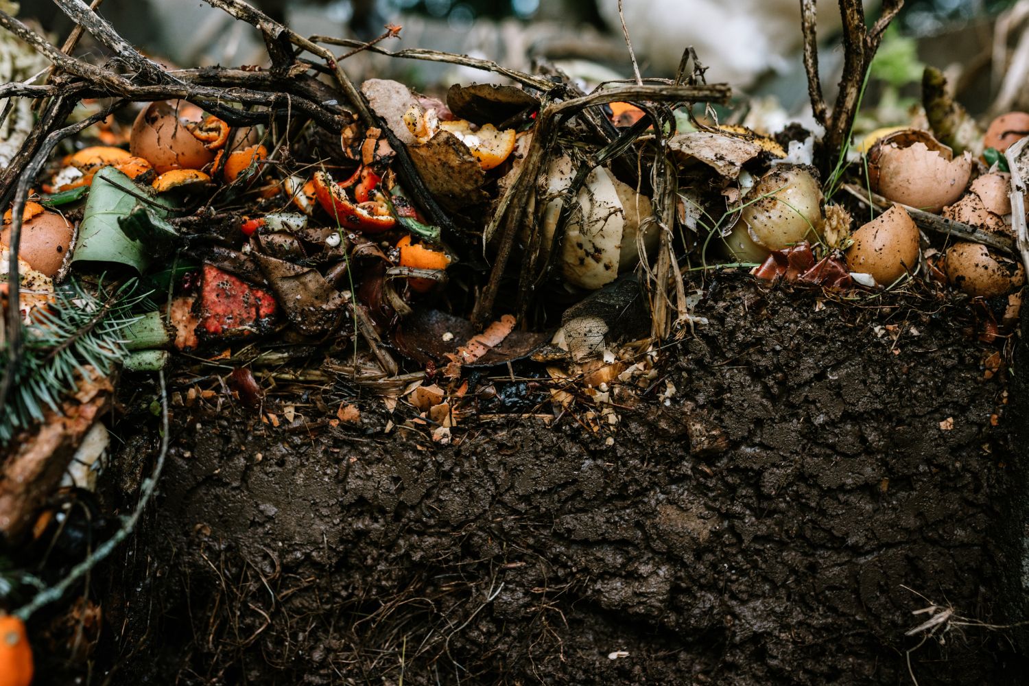Es importante mantener un balance de húmedos y secos en tu compost. - Foto RyanJLane/Gettyimages