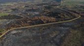 Los incendios forestales en Corrientes ya han devastado más de 500 mil hectáreas.