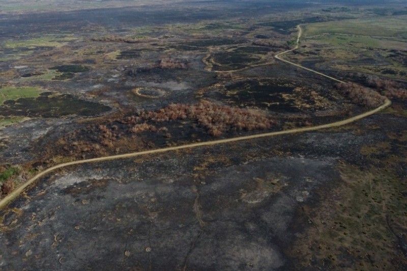 Los incendios forestales en Corrientes ya han devastado más de 500 mil hectáreas.