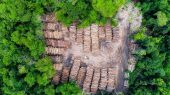 Los subsidios del mundo están financiando a las industrias más contaminantes.