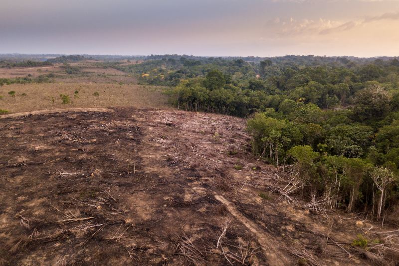 la selva amazónica puede deteriorarse a un punto de inflexión crítico.