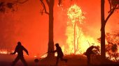 Incendios forestales aumentarán un tercio para 2050.