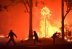 Incendios forestales aumentarán un tercio para 2050.