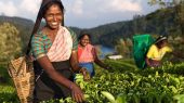 Las mujeres son clave para una acción climática efectiva.