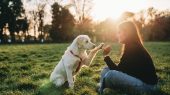 Consejos para que la huella de carbono de tu mascota sea más amigable conel medio ambiente.