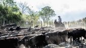 El día de sobregiro de la Tierra se acerca y Argentina acaba de llegar a su fecha límite de recursos.