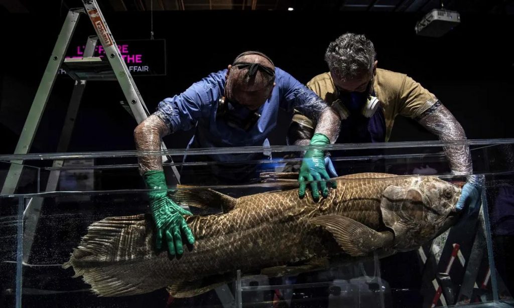 Celacanto es una especie de pez que se creía extinta. - Foto Christophe Archambault/AFP/Getty Images