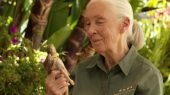 La primatóloga Jane Goodal tiene su propia barbie para inspirar acción climática en los niños.