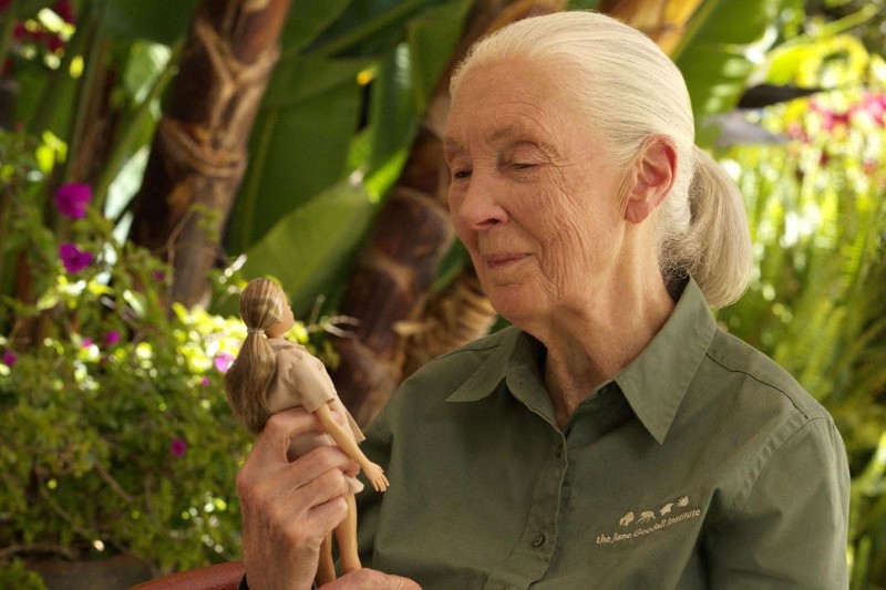 La primatóloga Jane Goodal tiene su propia barbie para inspirar acción climática en los niños.