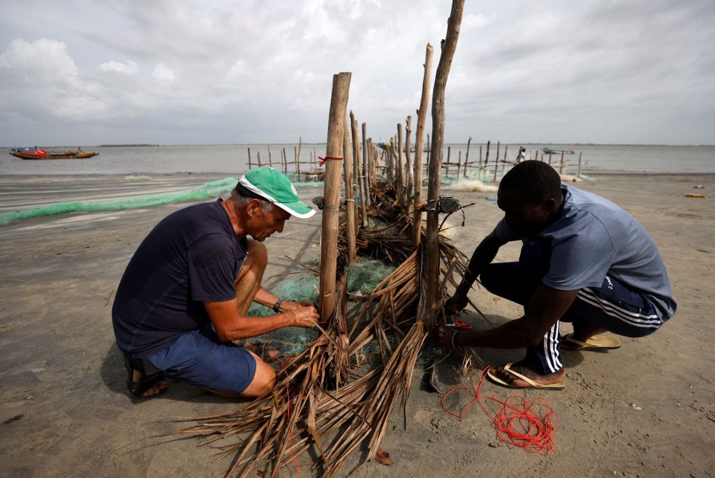 Barreras hechas de ramas materiales naturales para proteger las playas de Diogue. - Foto Zohra Bensemra/Reuters