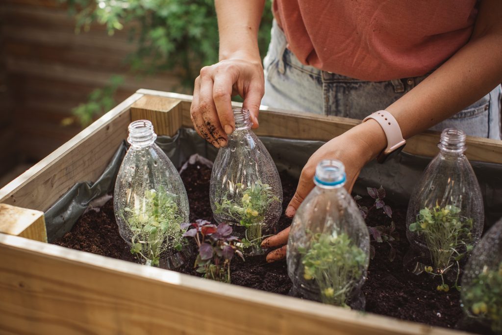 Reutiliza de botellas de plástico para tus plantas o huerto urbano. - Foto svetikd/Gettyimages