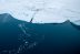 El Océano Ártico se acidifica 4 veces más rápido que el resto de océanos.