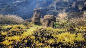 Estatuas Moai han recibido un daño irrecuperable por incendio forestal.