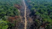 Bono de $10 mil millones para detener la deforestación en la Amazonía
