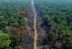 Bono de $10 mil millones para detener la deforestación en la Amazonía