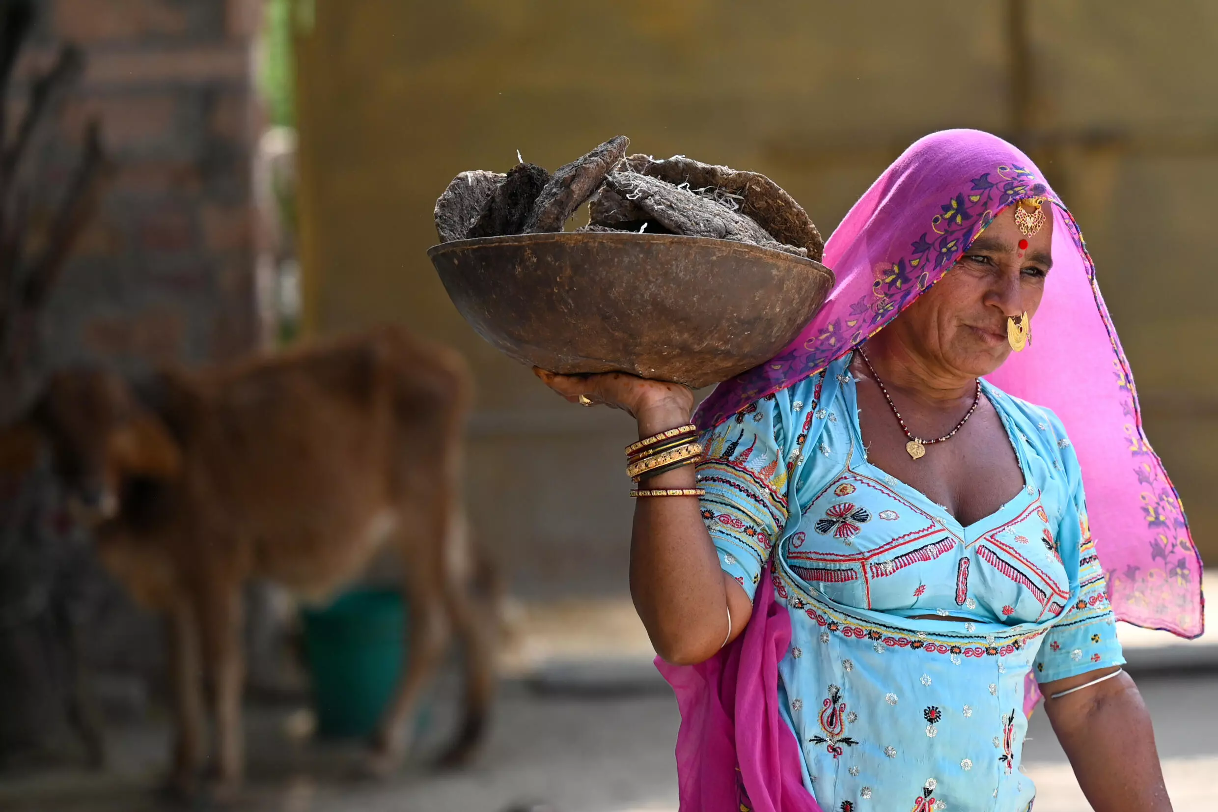 Algunos Bishnoi utilizan estiércol de vaca como alternativa a la leña para calentar su comida. - Foto Money SHARMA / AFP