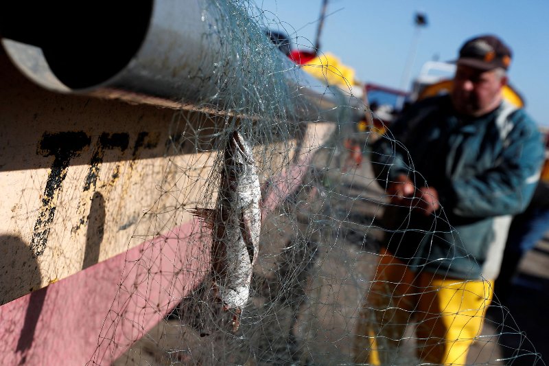 Los pescadores en Chile están en riesgo por el cambio climático.